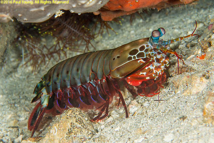 Philippines Photo Gallery